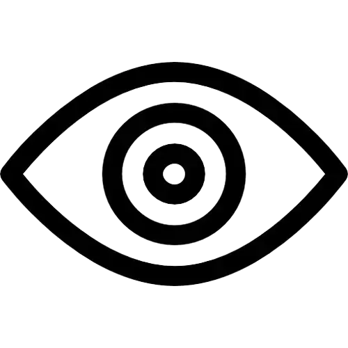 Vision